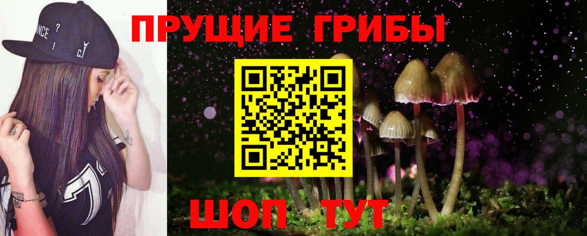 Псилоцибиновые грибы Psilocybine cubensis  Вход с VPN  Псилоцибиновые грибы Magic Shrooms  Брянск 