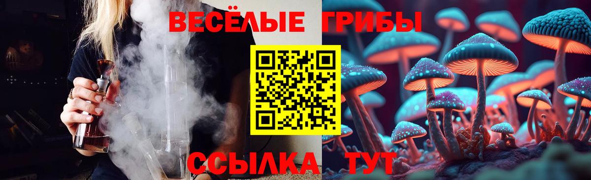 Псилоцибиновые грибы Psilocybe Брянск